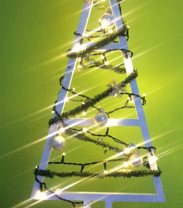 Lattenbaum klein