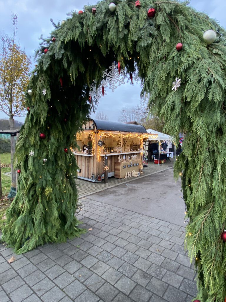 Heinsheim torbogen 2025 (1)